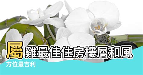 屬雞方位|如何選擇房子方位？8大風水方位與12生肖的完美結合，改變你的。